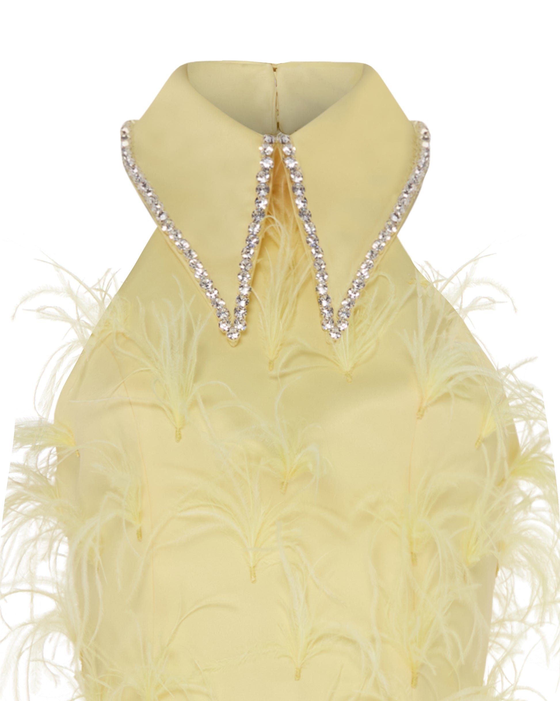 Crystal collared Grace Dress with feathers. Yellow, close up.