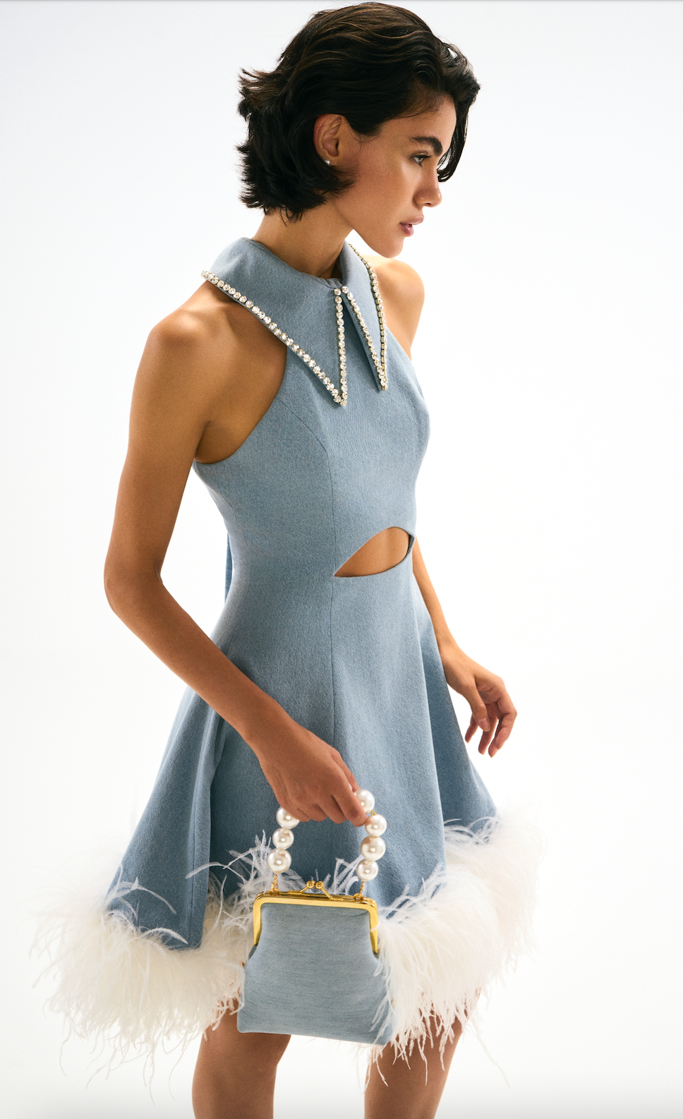 Mini Denim Dress