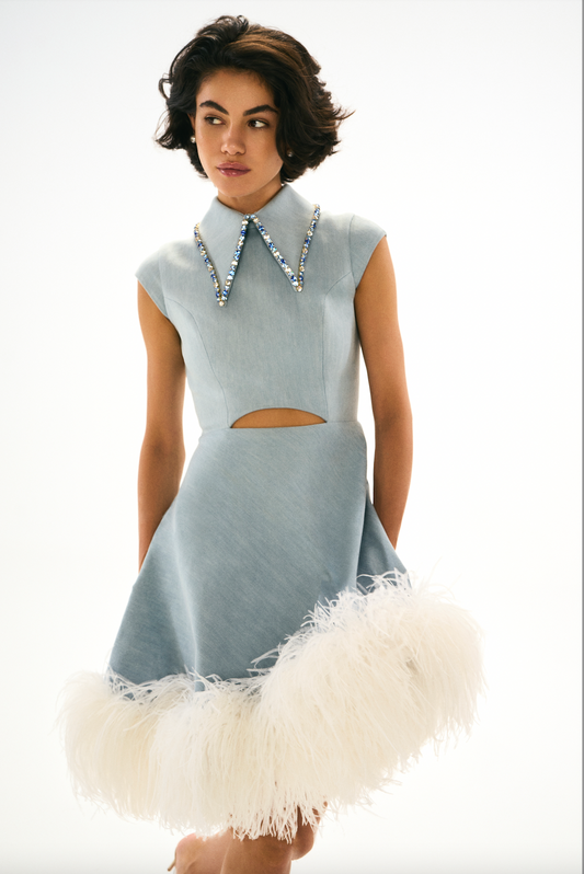 Collared, feather trimmed dress, crystal collar, denim, front 
