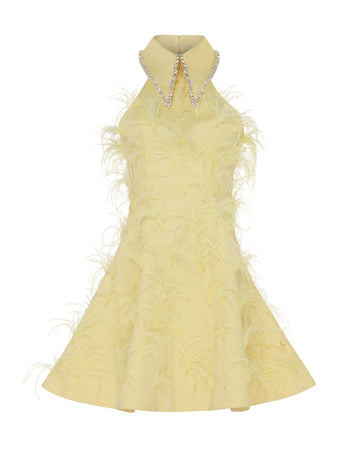 Crystal collared Grace Dress with feathers. Yellow, Front