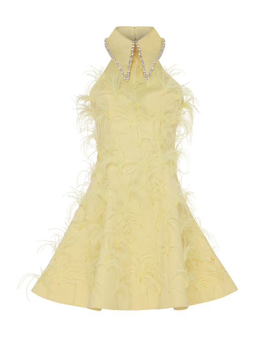 Crystal collared Grace Dress with feathers. Yellow, Front