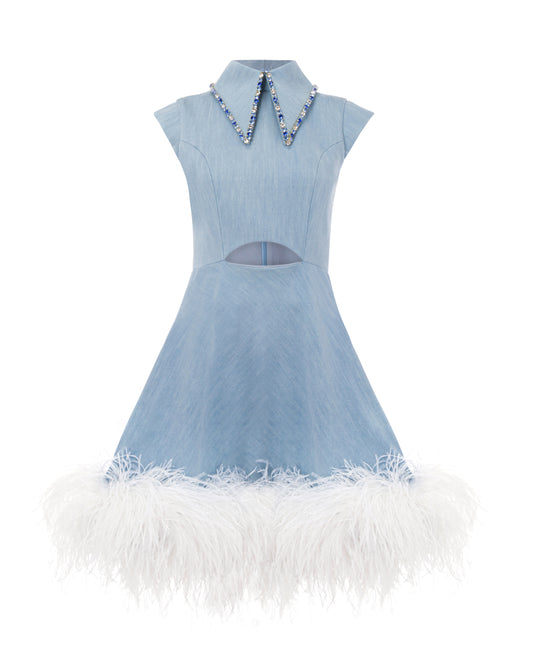 Collared, feather trimmed dress, crystal collar, denim, front 